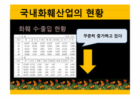 [물류관리] 꽃의 유통경로-4