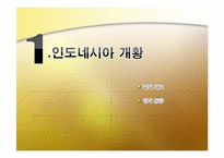 [해외투자론] 인도네시아 투자현황 및 미원 진출사례-3