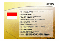 [해외투자론] 인도네시아 투자현황 및 미원 진출사례-4