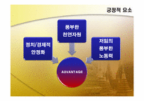 [해외투자론] 인도네시아 투자현황 및 미원 진출사례-11