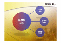 [해외투자론] 인도네시아 투자현황 및 미원 진출사례-12