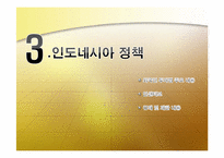 [해외투자론] 인도네시아 투자현황 및 미원 진출사례-18