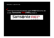 [커뮤니케이션 기법론] 샘소나이트 레드라벨 홍보 전략-6