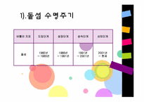 [관광 문화론] 관광지의 수명주기&관광지의 성장과 쇠퇴사례-14