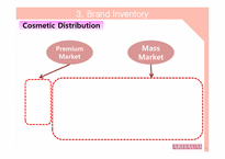 [경영학] 아리따움 브랜드 감사(Brand Audit)-6
