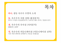 [광고기획론] 광동 옥수수 수염차 IMC커뮤니케이션 전략-2