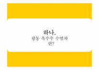 [광고기획론] 광동 옥수수 수염차 IMC커뮤니케이션 전략-3