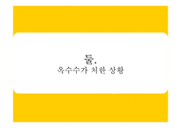 [광고기획론] 광동 옥수수 수염차 IMC커뮤니케이션 전략-5
