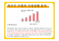 [광고기획론] 광동 옥수수 수염차 IMC커뮤니케이션 전략-7