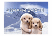 [경영정보시스템] 이마트 MIS 도입사례-19