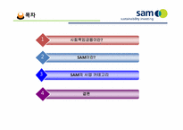 [금융론] SAM의 SRI와 한국 사회에의 적용-2
