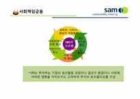 [금융론] SAM의 SRI와 한국 사회에의 적용-3