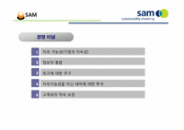 [금융론] SAM의 SRI와 한국 사회에의 적용-6