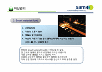 [금융론] SAM의 SRI와 한국 사회에의 적용-10