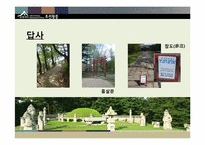 [관광학] 관광지로서의 선정릉 조사-7