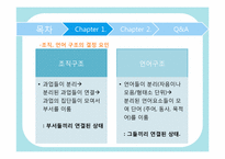 [거시조직론] 언어의 특성과 비교한 조직이론-4