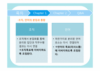 [거시조직론] 언어의 특성과 비교한 조직이론-6