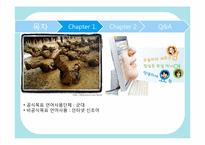 [거시조직론] 언어의 특성과 비교한 조직이론-13