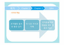 [거시조직론] 언어의 특성과 비교한 조직이론-17