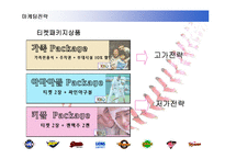 [스포츠마케팅] 국내 프로야구의 활성화 전략-9