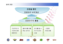 [스포츠마케팅] 국내 프로야구의 활성화 전략-19