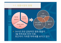 [국제금융] 한국의 환율과 외환시장의 동향-5
