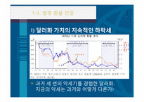 [국제금융] 한국의 환율과 외환시장의 동향-12