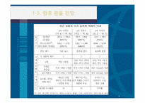 [국제금융] 한국의 환율과 외환시장의 동향-13