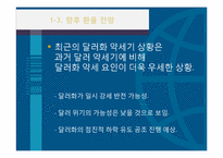 [국제금융] 한국의 환율과 외환시장의 동향-14