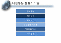 [물류관리] 대한통운의 물류 시스템 분석과 국제화 전략 방안-11