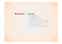 [국제통상] 중국환율제도와 위안화 절상-2