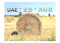 [아랍문화] UAE, 오만, 카타르 문화의 이해-1