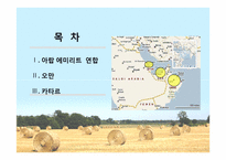 [아랍문화] UAE, 오만, 카타르 문화의 이해-2