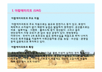 [아랍문화] UAE, 오만, 카타르 문화의 이해-5