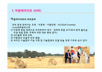 [아랍문화] UAE, 오만, 카타르 문화의 이해-6