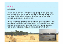 [아랍문화] UAE, 오만, 카타르 문화의 이해-10