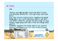 [아랍문화] UAE, 오만, 카타르 문화의 이해-19