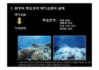 [국제사회 문제] 환경과 대기오염-8