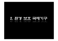 [국제사회 문제] 환경과 대기오염-9
