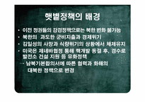 [한국정치사] 햇볕정책에 대한 평가-5