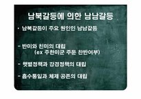 [한국정치사] 햇볕정책에 대한 평가-10