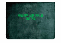 [한국정치사] 햇볕정책에 대한 평가-14