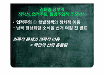 [한국정치사] 햇볕정책에 대한 평가-20
