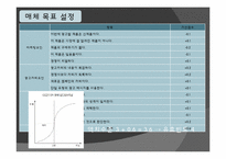 [신문방송학] 닌텐도 Wii 매체 기획안-8