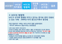 [정치커뮤니케이션] UCC와 선거-8