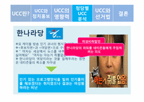 [정치커뮤니케이션] UCC와 선거-11