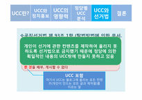 [정치커뮤니케이션] UCC와 선거-17