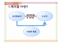[정보화와 뉴미디어] 케이블 TV의 발전 현황과 미래-4