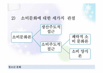 [청소년학] 청소년과 소비문화-5