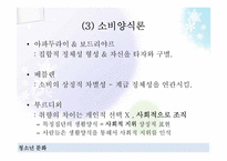 [청소년학] 청소년과 소비문화-8